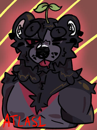 Shaded HB